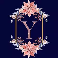 y images love hd